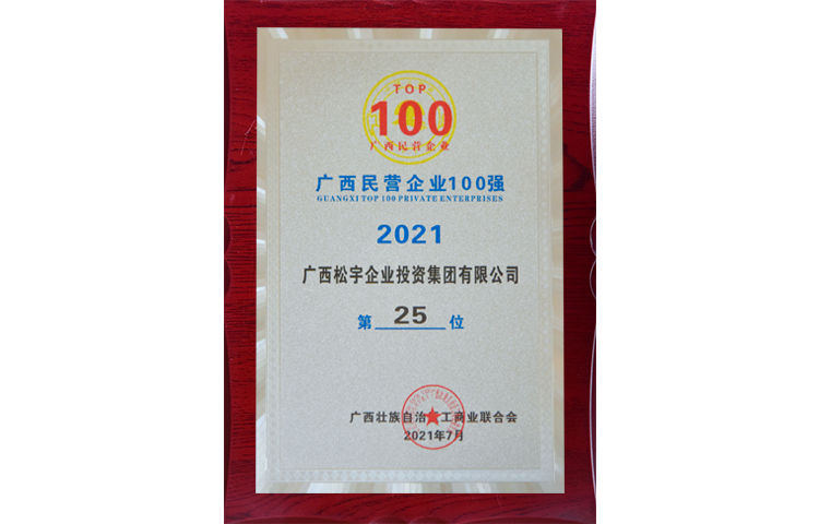 廣西民營企業(yè)100強第25位