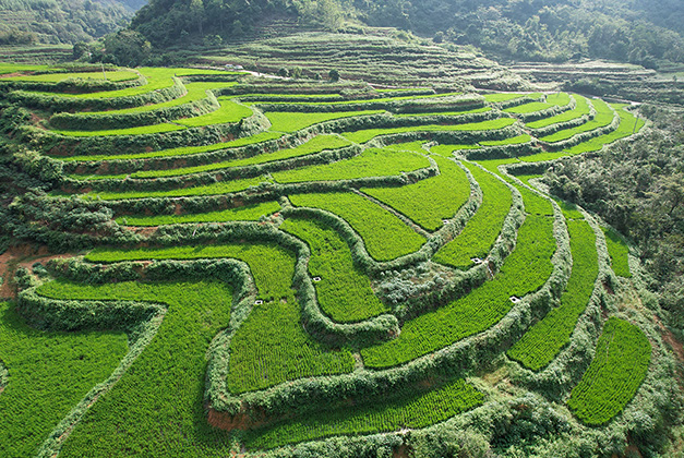 項(xiàng)目實(shí)景圖